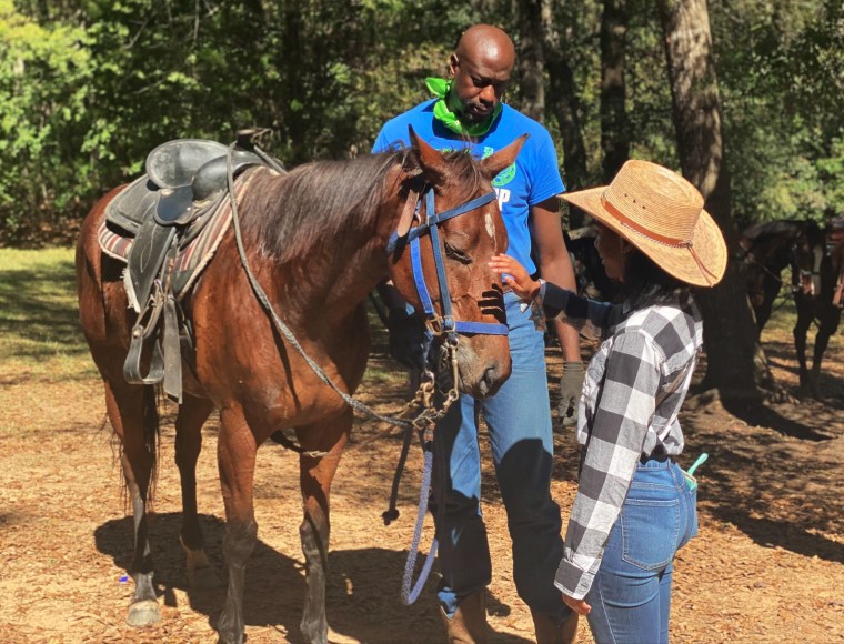 Image: Daryl Fletcher introduces a horse to one of his clients.