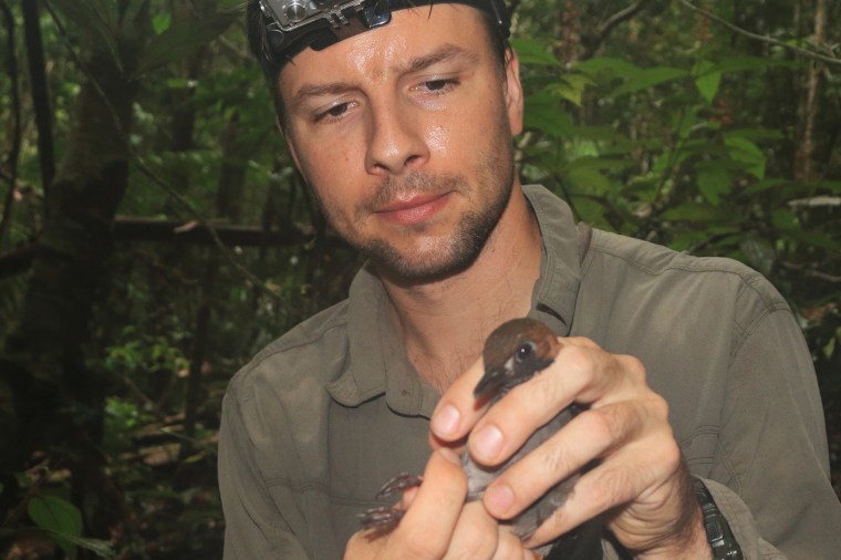 Vitek Jirinec holds a black-faced antthrush in the Amazon rainforest.