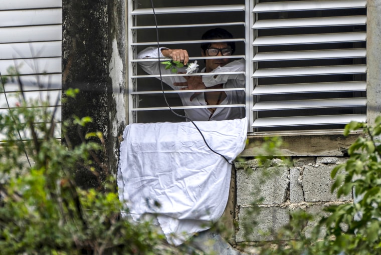Opposition activist Yunior Garcia Aguilera holds a white flower outside the window of his home in Havana on Nov. 14, 2021.