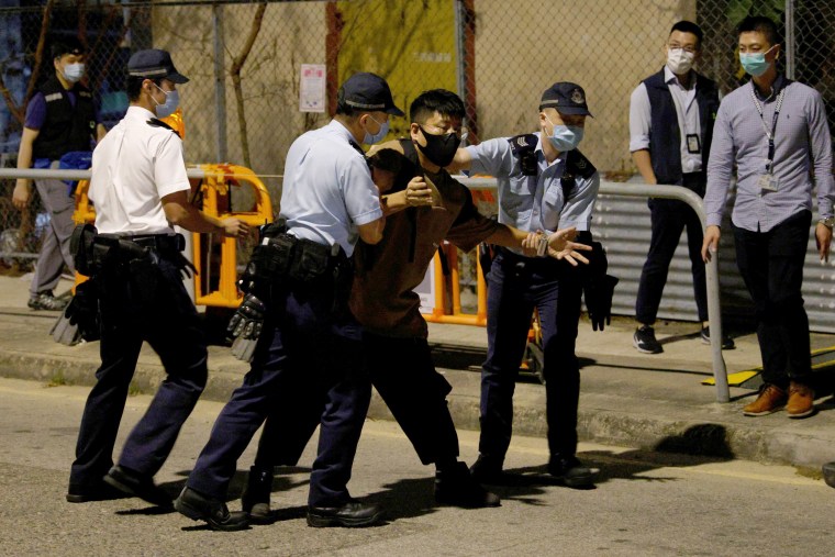 Image: An animal activist is detained by police as he tries to steer the wild boars away from the traps, which are later captured and put down under a change of policy on controlling the animals in urban areas, in Hong Kong