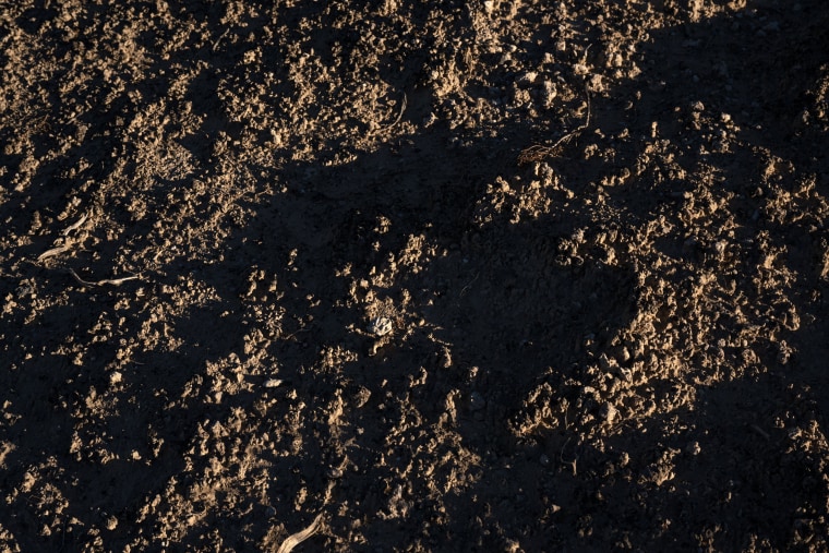 Candela Renewables, a San Francisco-based renewable energy company, is hoping to build a large-scale solar field in Pahrump, Nev., which has what's known as cryptobiotic soil. Disturbing the delicate desert crust, a thin layer of bacteria-rich soil that retains water and nutrients and slows erosion, can contribute to powerful dust storms that release particles into the air.