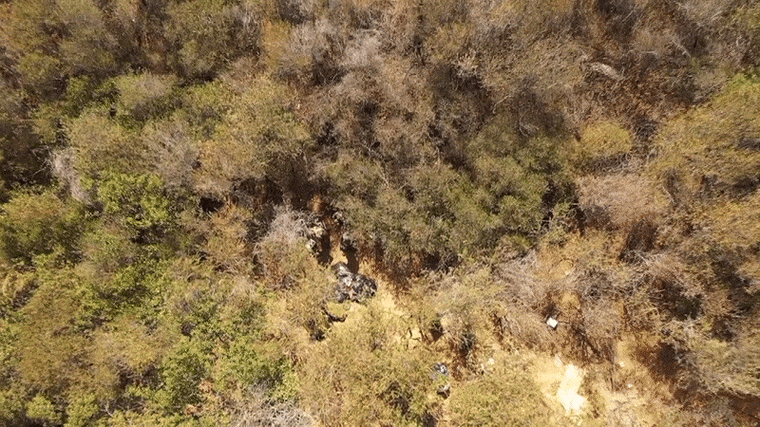 Image: Aerial footage of the illegal grow site in Cleveland National Forest visited by NBC News on Oct. 6, 2021.