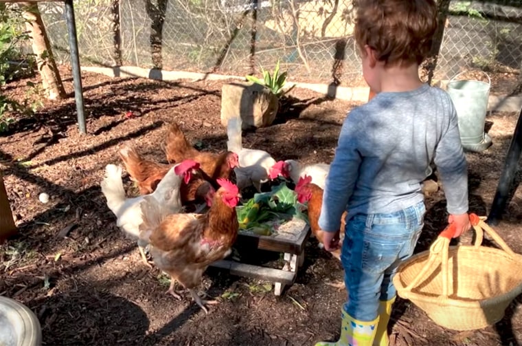 The Duchess of Sussex, shared a photo of son Archie feeding the family's chickens during a visit to "The Ellen DeGeneres Show" on Thursday.