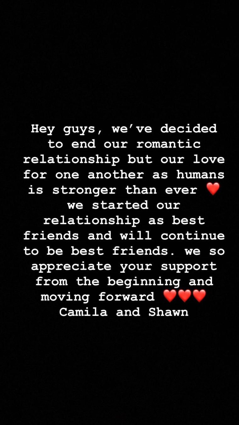 Mensaje de Camila Cabello y Shawn Mendes