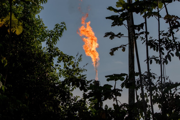 The lighter of an oil processing plant in the rainforest of Ecuador's Yasuni region.