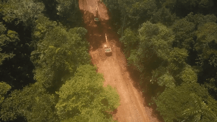 Excavators deep inside Yasuní National Park felling primary forest to create new oil roads. Captured