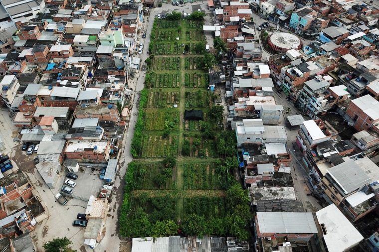 The Horta de Manguinho in Rio de Janeiro is the biggest urban garden in Latin America.