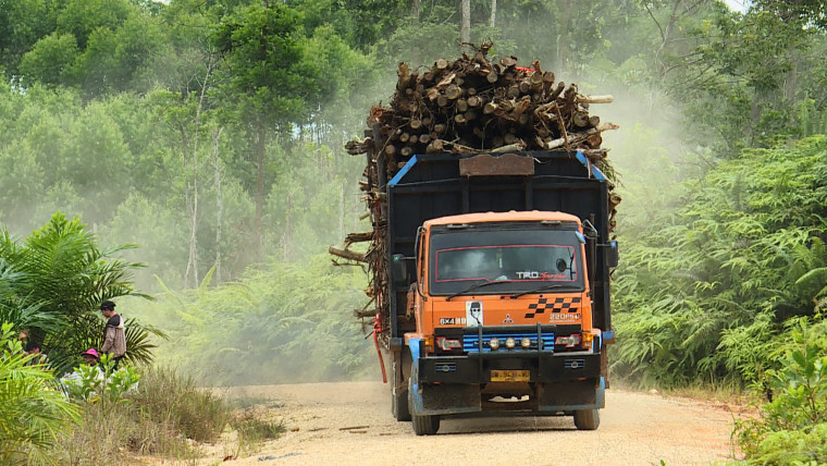 A truck loaded with wood in North Kalimantan.