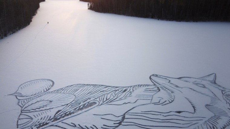 Pasi Widgren drew a fox that measures about 295 feet on Lake Pitkajarvi using a shovel.