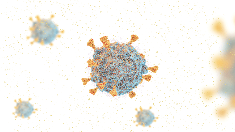 A 3D rendering of Covid-19 variant B.1.1.529, dubbed omicron.