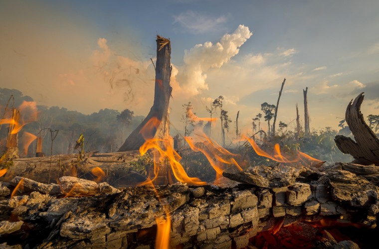 Image: A fire burns on Jaim Teixeira's land.