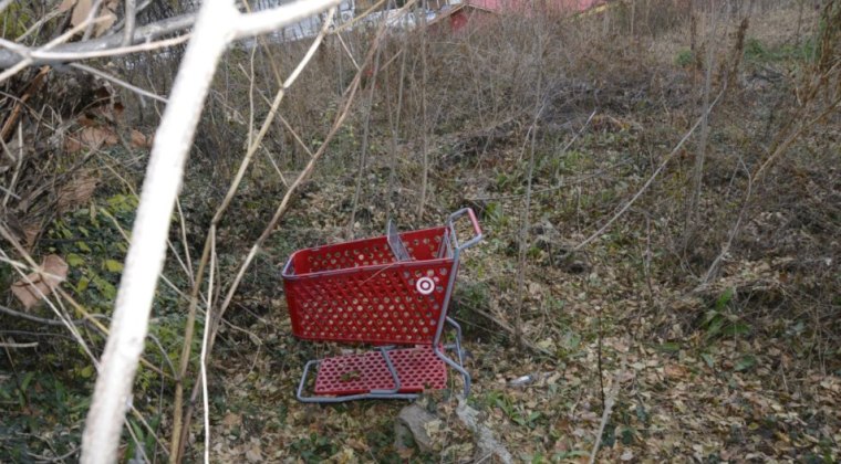 Police said the remains were found “tucked away in an isolated wooded area,” in a container near a shopping cart.