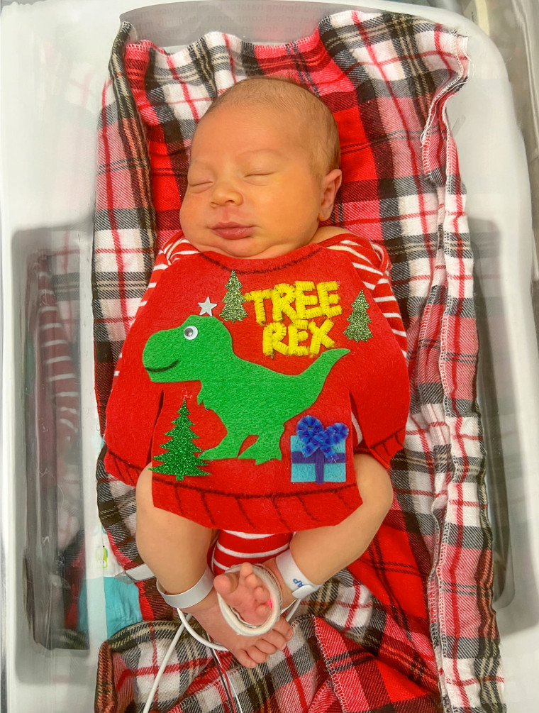 Have you ever seen a cuter Tree Rex?