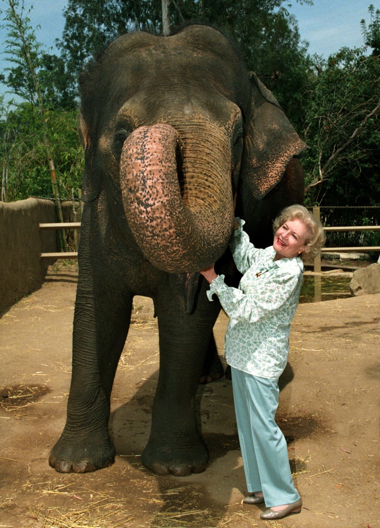 Betty White spent many Saturday mornings walking throughout the L.A. Zoo with a zookeeper and an elephant named Gita before the public arrived. “She has a really great rapport with our keepers and she’s always aware of the animals’ needs,” Tom Jacobson, president of the Greater Los Angeles Zoo Association, told TODAY. 