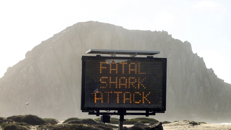 A sign advises about a shark attack Friday in Morro Bay, California. (David Middlecamp/The Tribune (of San Luis Obispo) via AP)