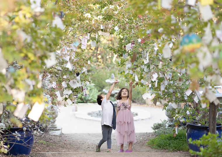 Clark and Chloe Hay under wishing trees in Pasadena, California.