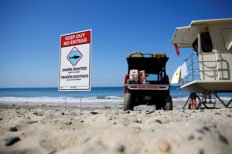 Image: After clearing the ocean area of surfers and swimmers, lifeguards watch over the waters, off Beacon's Beach, after authorities said a young boy was attacked by a shark in Encinitas, California