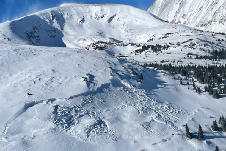 Image: Avalanche kills two and a dog