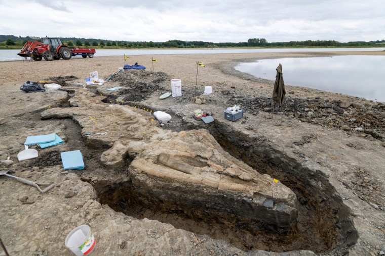 The remains of the ichthyosaur, estimated to be around 180 million years old. 
