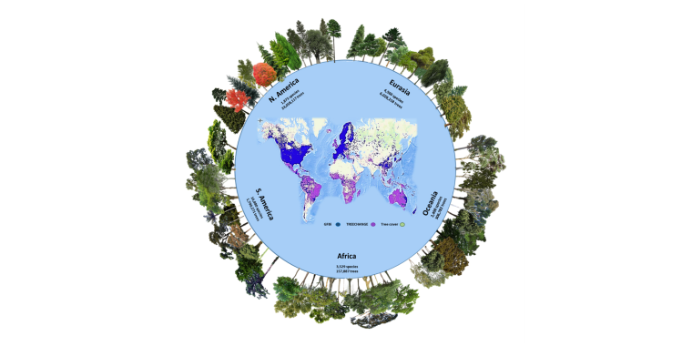 The number of tree species and individuals per continent in the Global Forest Biodiversity Initiative database, one of two databases used in the new study. Green areas represent the global tree cover. Depicted here are some of the most frequent species recorded in each continent.