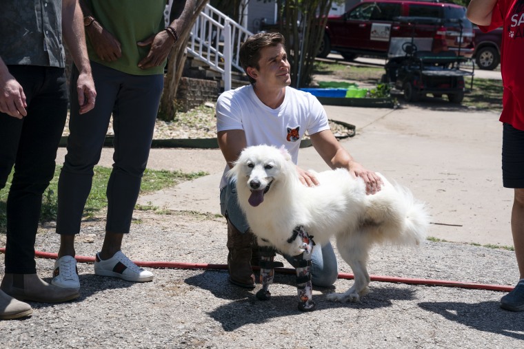 "(Antoni) is just the sweetest, snuggly guy, and he was so touched by all the animals."