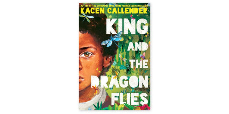 Image: book cover for King and the Dragonflies