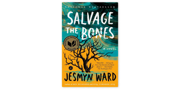 Image: book cover for "Salvage the Bones"