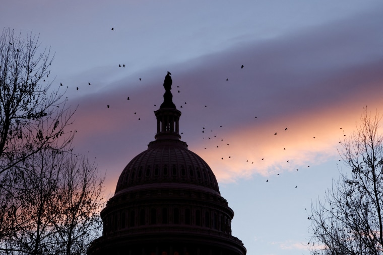 Image: FILE PHOTO: The dome of the U.S. Capitol at dawn in Washington