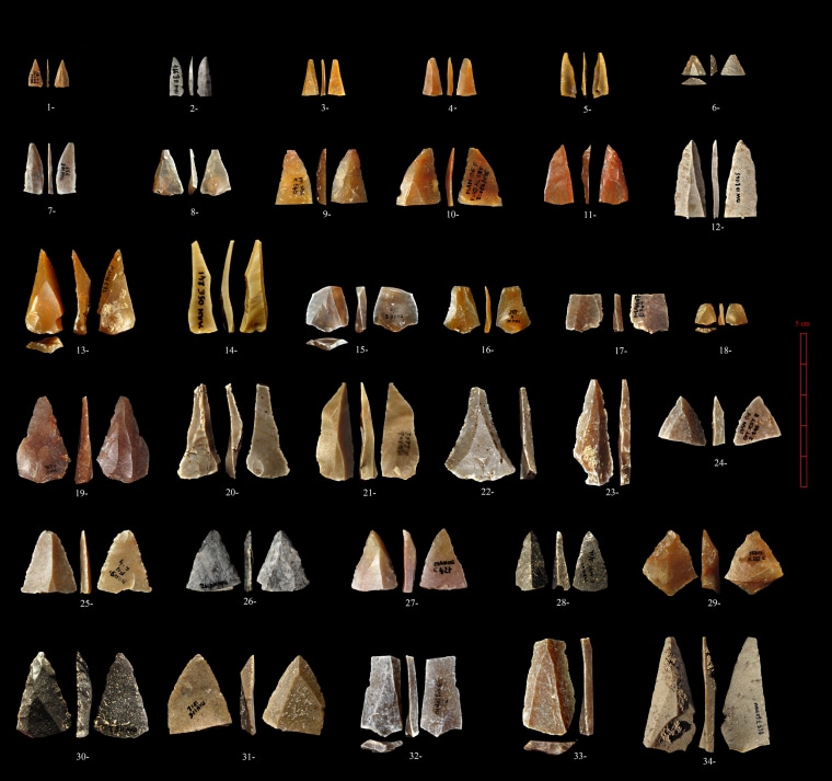 Neronian flint points. 