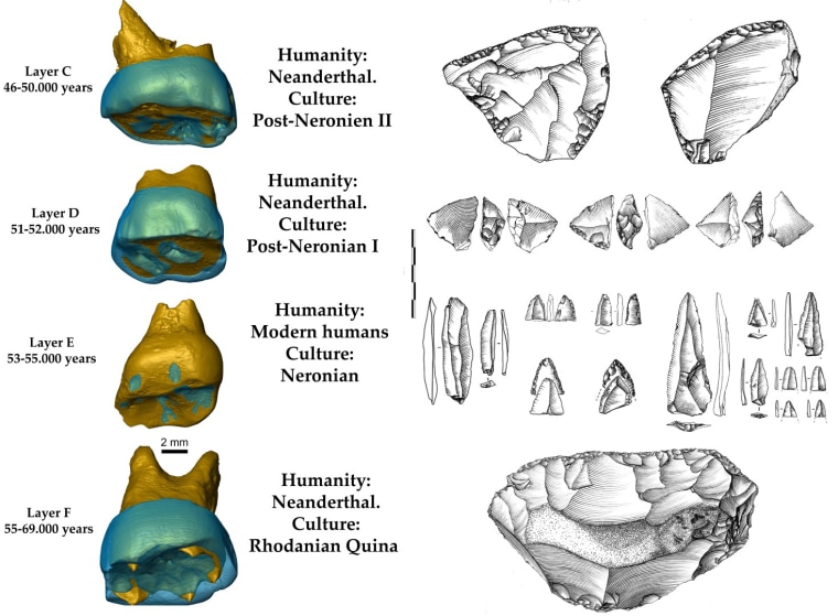 The study focuses on one modern human tooth, from a child age 2 to 6, in sediments that were sandwiched between sediments that held Neanderthal teeth and on dozens of distinctive flint points made by modern humans.