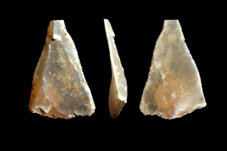 A flint point, thought to be the tip of an arrowhead, found during an excavation of Grotte Mandrin. 
