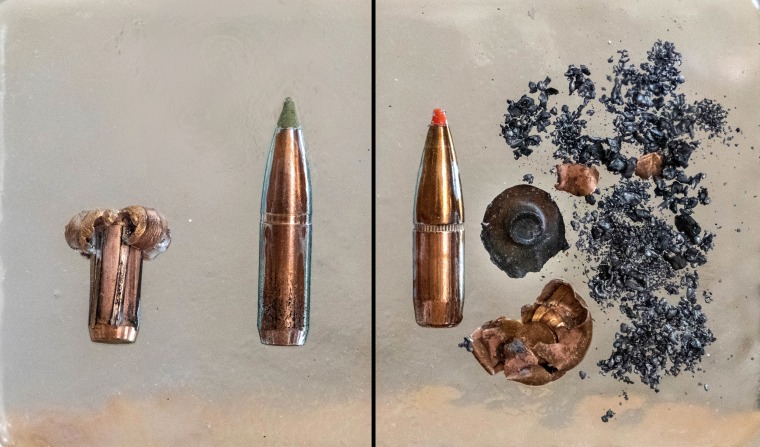 Copper bullet, left, vs lead core bullet, right, before and after impact, showing extensive post-impact fragmentation of the lead, but not the copper, ammunition. Both rounds are 180 grain and fired out of a .300 Winchester magnum.
