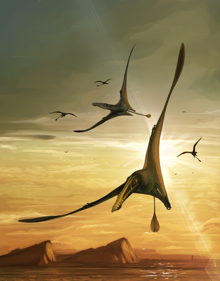 An artist's illustration of pterosaurs on the Island of Skye.