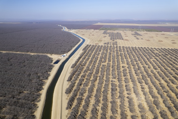 Image: An irrigation canal winds through almond orchards in Firebaugh, Calif.