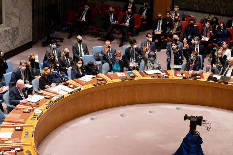 UN-SECURITY COUNCIL-UKRAINE-RESOLUTION-FAILURE