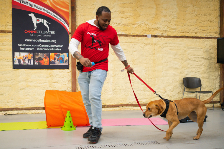 Atlanta resident Ray Keith works with a shelter dog named Rio in the “Beyond the Bars” program of the nonprofit Canine CellMates.
