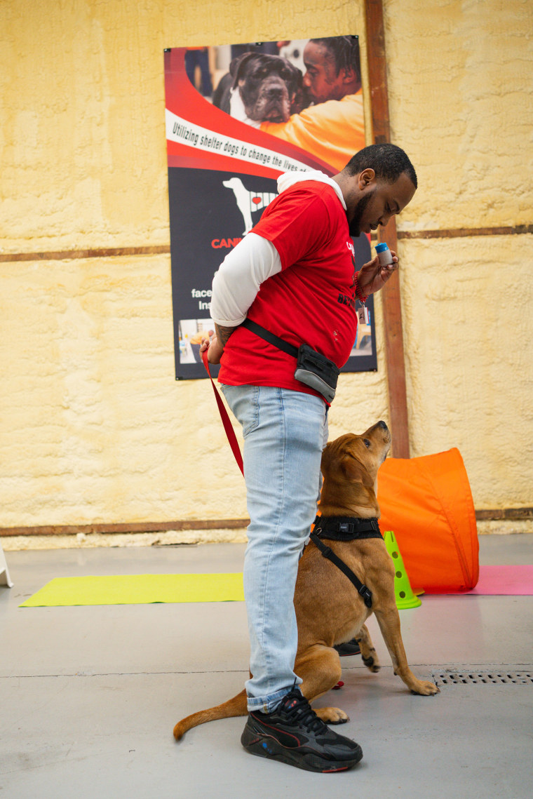Ray Keith used positive training techniques to help a shelter dog named Rio get adopted.