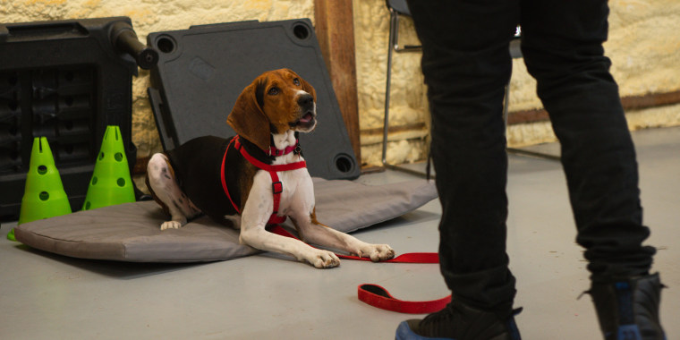 More than 150 shelter dogs have been adopted through Canine CellMates. Now dogs who are pulled from shelters can stay at the nonprofit’s new training facility in Atlanta through the Beyond the Bars program.