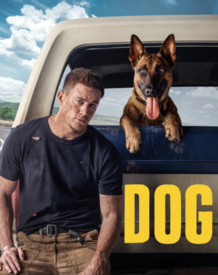 Howman And Dog Xxx - Belgian Malinois experts worry about Channing Tatum 'Dog' movie