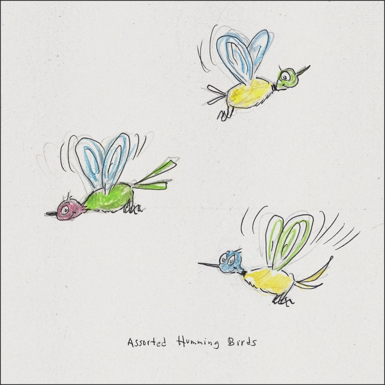 A sketch by Dr. Seuss shows a series of colorful hummingbirds with pointy noses.