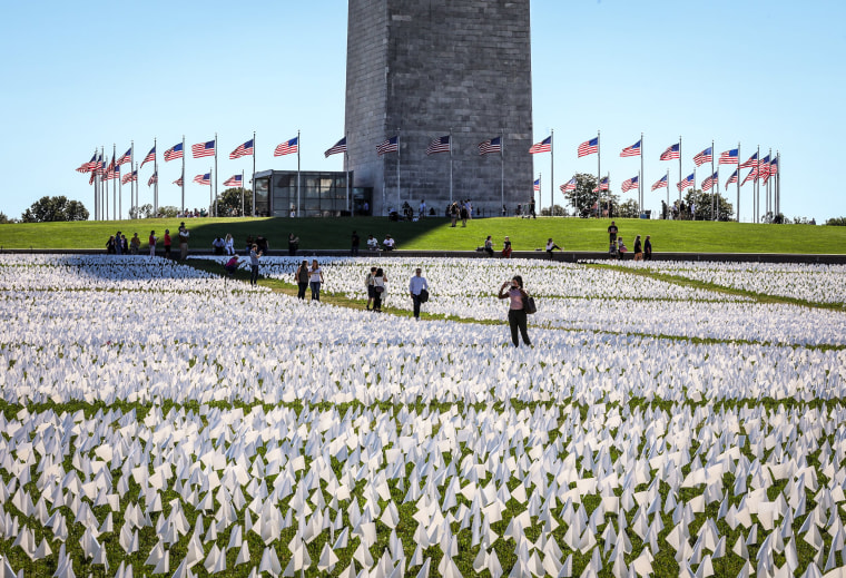 Image: Art Installation in memory of American Covid-19 victims in Washington, D.C.