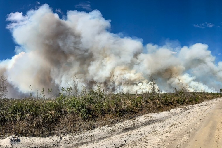 The Florida Forest Service’s Blue Incident Management team will assume command of the Adkins Avenue Fire and Bertha Swamp Road Fire on Monday under the name Chipola Complex.