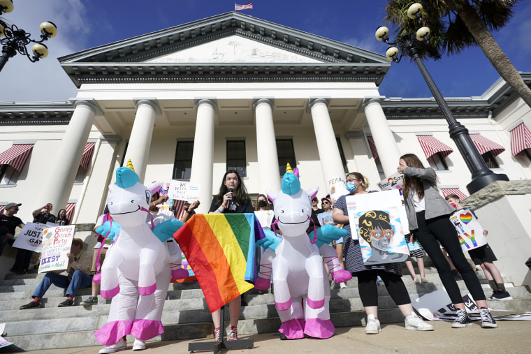 Demonstrators gather to speak out in front of the Florida State Capitol, Monday, in Tallahassee.