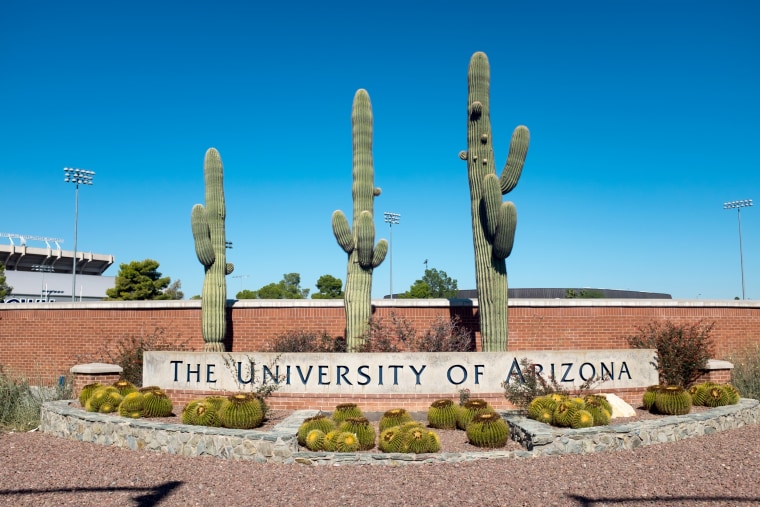 University Of Arizona