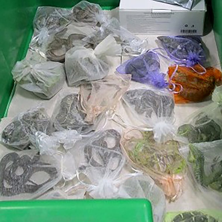 Snakes in bags were found hidden under and in a man's clothes by CBP officers at the San Ysidro, Calif., port of entry.