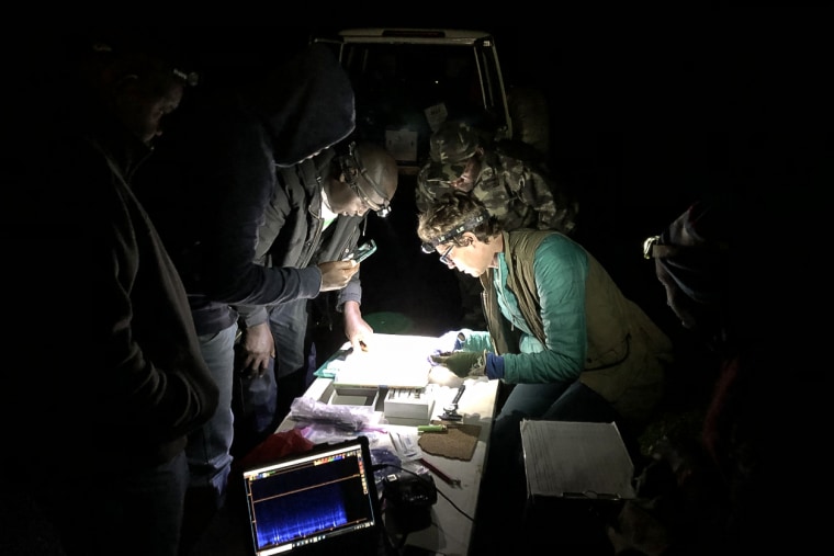 Bat Conservation International and collaborators collect data on several bat species within the Rwandan National Park.