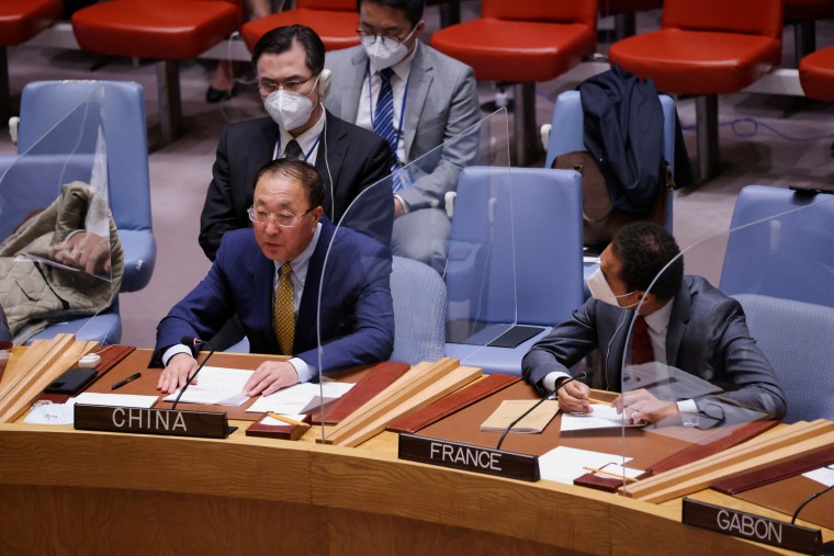 Image: United Nations Security Council meeting, in New York City