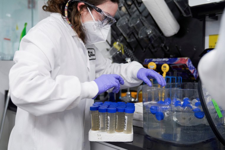 Image: A lab technician tests wastewater samples from around the United States for Covid-19 at the Biobot Analytics, in Cambridge, Mass., on Feb. 22, 2022.