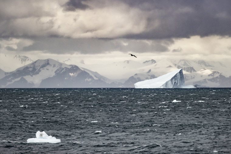 Icebergs in Grandidier Channel