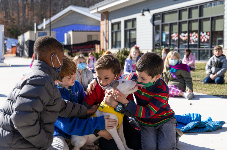 Getting to spend time with Snow, a puppy from Richmond Animal Care and Control shelter, helped the second graders really embrace their persuasive writing essays from the animals' point of view.